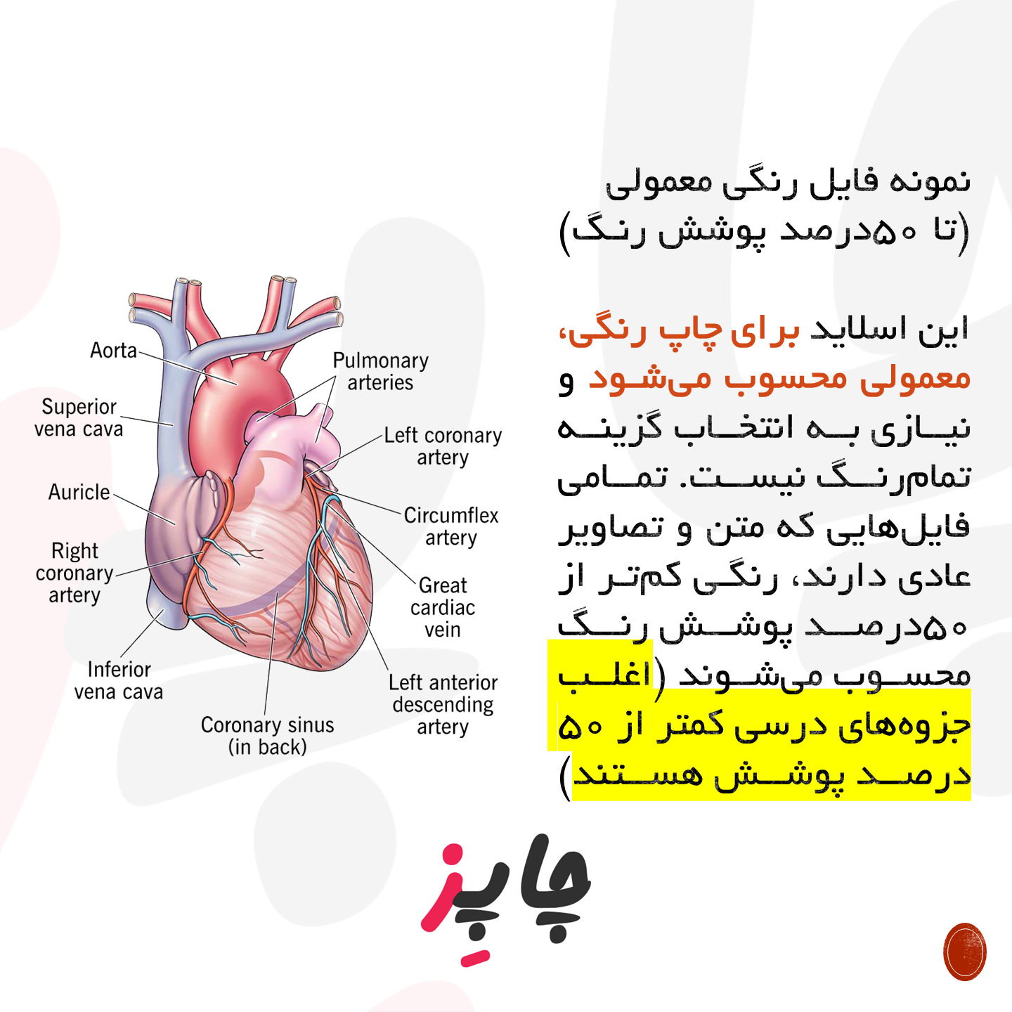 نمونه ی فایل نیم رنگی برای فایل رنگی